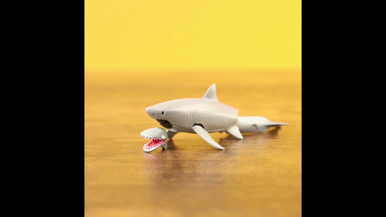 Great White Shark Build