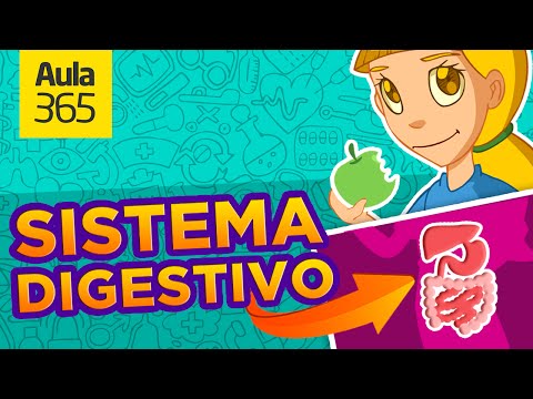 El Sistema Digestivo: ¿Qué es la Digestión? | Videos Educativos Aula365