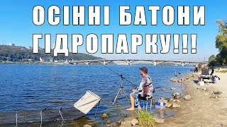 Риболовля на Гідропарку, Київ: де ловити та яка риба