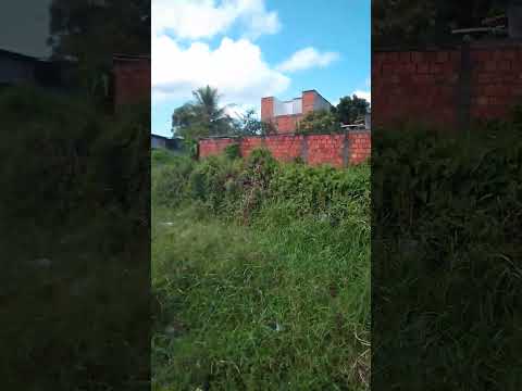 RUA D | PARQUE NOSSA SENHORA DE FÁTIMA | NOSSA SENHORA DO SOCORRO | SERGIPE | NORDESTE | ARACAJU |