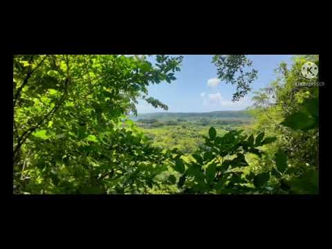 LHS MI NO NAF LUSUM YU