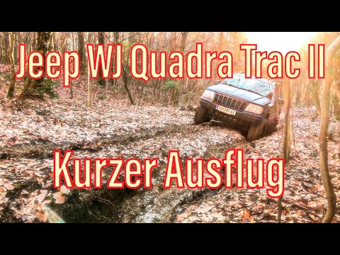 Jeep WJ Quadra Trac II — Offroad Forest driving / Not Hardcore #Jeep #JeepWJ #JeepWJV8