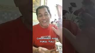 Download lagu Cara rawat ayam pukul versi (Wandi KM) mp3 Download lagu Cara rawat ayam pukul versi (Wandi KM) mp3