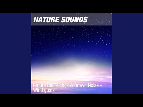 Nature Sounds for Zen Meditation, Reiki & Pilates (Calming wind noise) 16