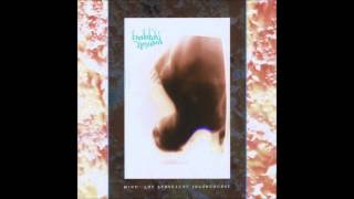 Skinny Puppy - Antagonism (Backmasked)