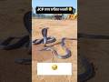 Siveyan Tak Jana Yaara Punjabisong Song Punjabimusic Akarjunmusic