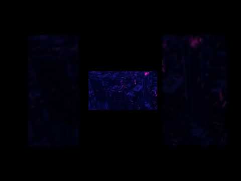 Dailong Otz Maltese King Trap Ytho