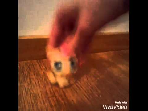 Video kooste #1 (homer)