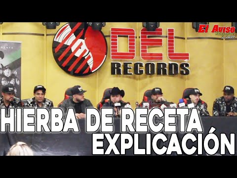 HIERBA DE RECETA - (EXPLICACIÓN) - DEL RECORDS 2019 - EL AVISO MAGAZINE