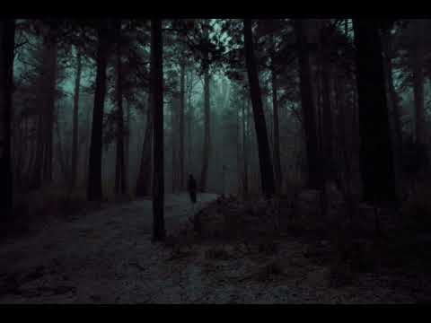 PLUMMY PLUM 1995 x PHRXNXTIC (CUPREOUS) - HORROR FOREST