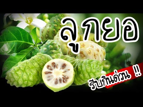 สิ่งที่ยาเสพติดในการรักษาความอ่อนแอ คนตื่นเต้นและหญิง