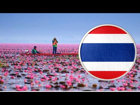 30 INTERESTING FACTS ABOUT THAILAND - COUNTRIES #40