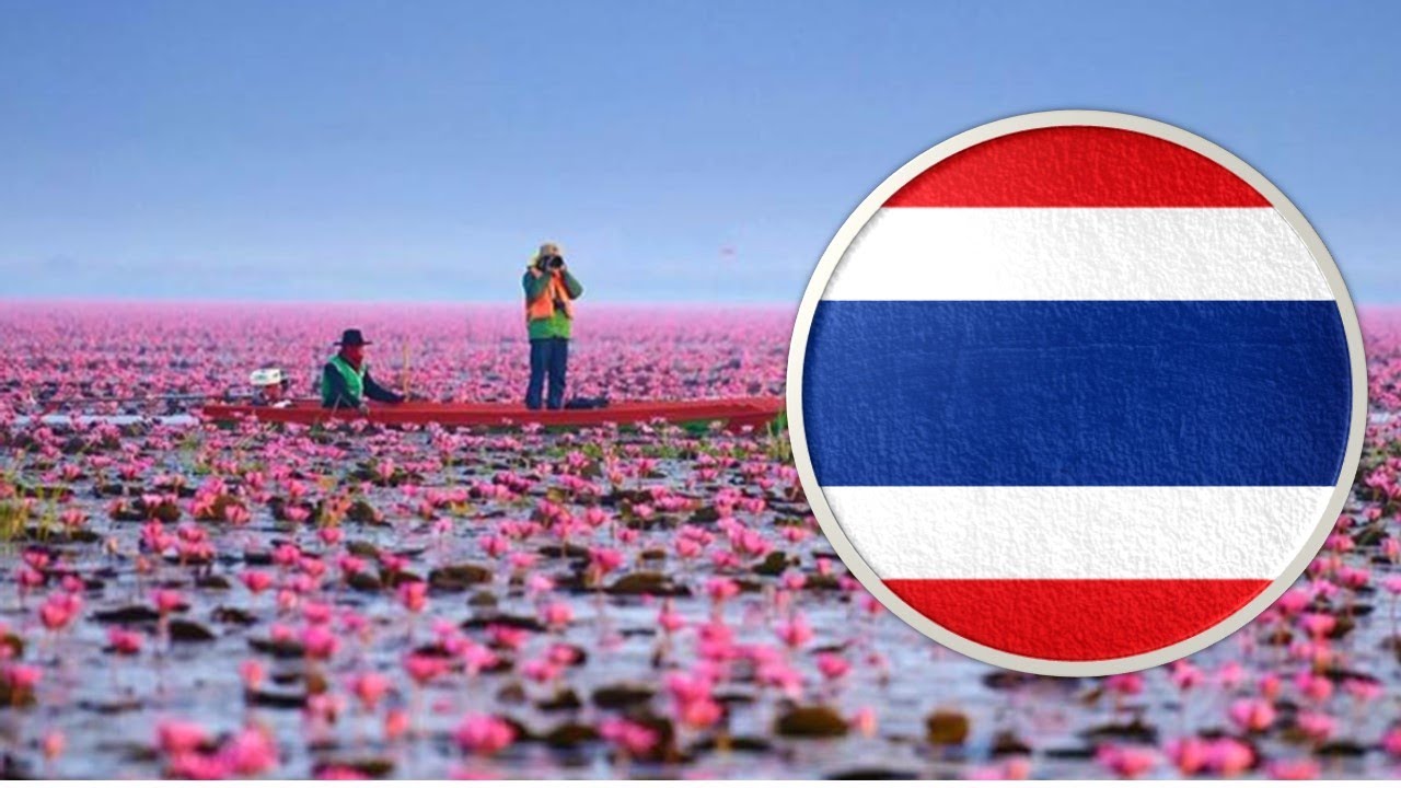 30 CURIOSIDADES SOBRE A TAILÂNDIA - PAÍSES #40