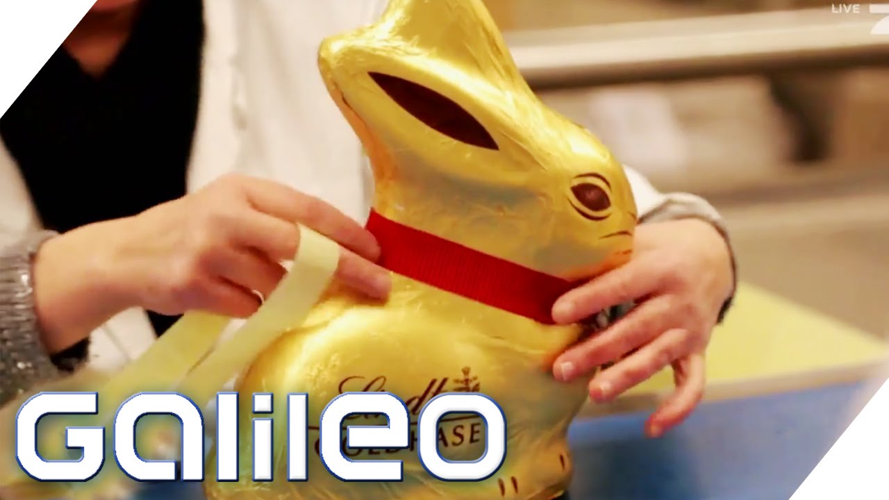 Kassenschlager goldener Hase | Galileo | ProSieben