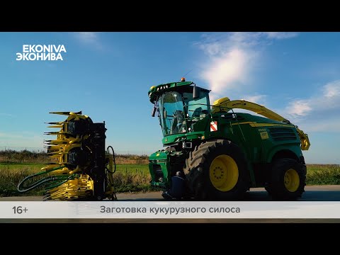 СЕКРЕТ ПРАВИЛЬНОЙ ЗАГОТОВКИ кукурузного силоса
