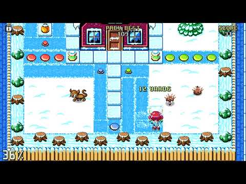 Sunday Lawn Seasons Video