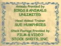 Barney The Land Of Make Believe Video Credits 2005