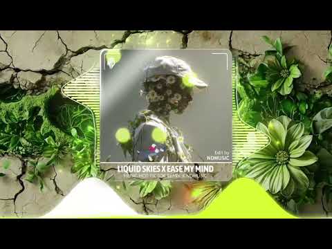 Liquid Skies & Ease My Mind I UtHieu Remix | Music hot Tik Tok | Nd Music