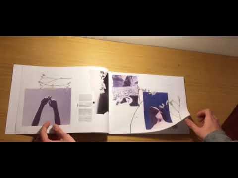 Esame Matteo Nicoli M1