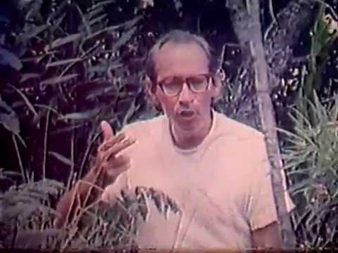 Renny Ottolina Presenta - Churun Meru