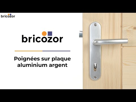 Poignées de porte sur petites plaques - entraxe 165 mm - aluminium BRICOZOR