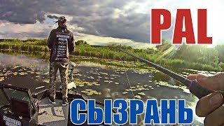 Pal соревнования по спиннингу 2019