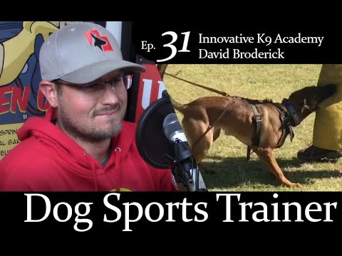 Dog Training Tips from Expert Dog Sports Trainer: David Broderick - Ep. 31