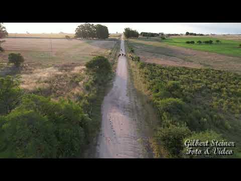 Paso de los Carros 2021