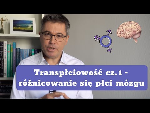 Transpłciowość - różnicowanie się płci mózgu. Dr med. Maciej Klimarczyk, seksuolog, psychiatra.