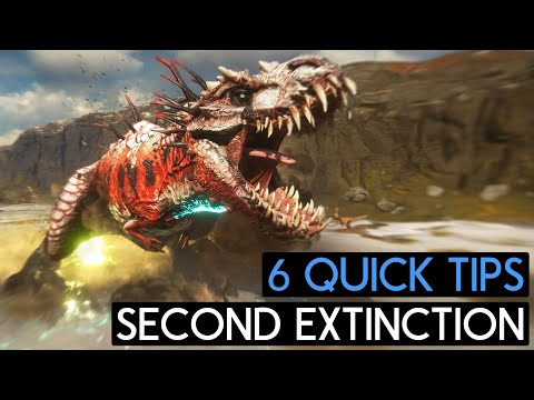 6 Quick Tips for SECOND EXTINCTION!