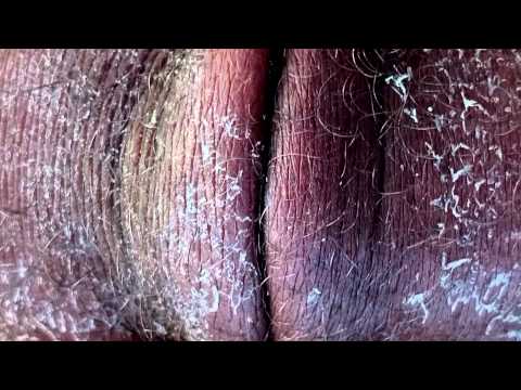 download lagu mp3 mp4 Chatte, download lagu Chatte gratis, unduh video klip Chatte