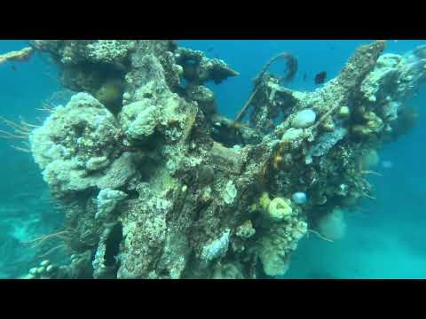 Discover the Enchanting Skeleton Wreck - Ultimate Snorkeling Adventure!