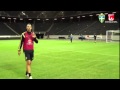 Zlatan Ibrahimovic Hits a Stunning Goal in Sweden Training