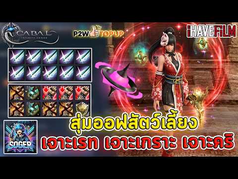 Cabal Infinite Combo : สุ่มออฟสัตว์เลี้ยง Lv.30 เจาะเรท เจาะเกราะ เจาะคริ 💥