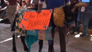 preview picture of video 'Feria Nacional del Burro 2013, Otumba, Estado de México'