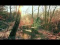 " SHINE " by Daniel Lanois