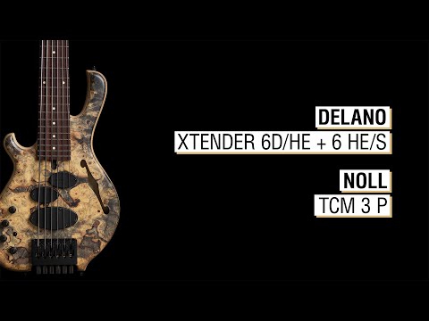 Delano Xtender 6D/HE + 6 HE/S + Noll TCM 3 P - Mensinger Cazpar 6a Headless Hollowbody