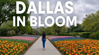 Peaceful Walk Through Dallas Arboretum & Klyde Warren Park | Hidden Gems in Dallas