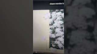 Shawn Mendes - Why (Remix) - (DJ Party)