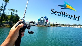 Fishing at SEA WORLD!! Got Broken off by Something BIG...