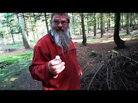 Svampeekspert Sten Larris/ Ametysthat/ På Opdagelse Djursland