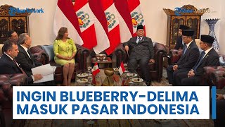Momen Prabowo Bertemu Presiden Peru, Dina Boluarte Ingin Blueberry & Delima Masuk Pasar Indonesia