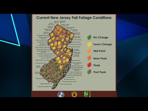 Warm Weather Foliage