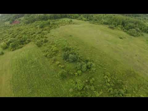 Wildlife - Crocna - Arad - Romania DJI FPV