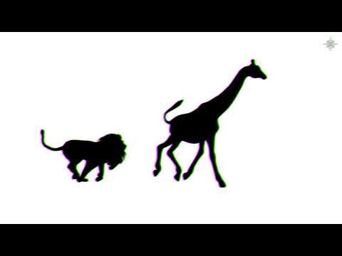 ENZØ x FNZ - Circus (Official Music Video)