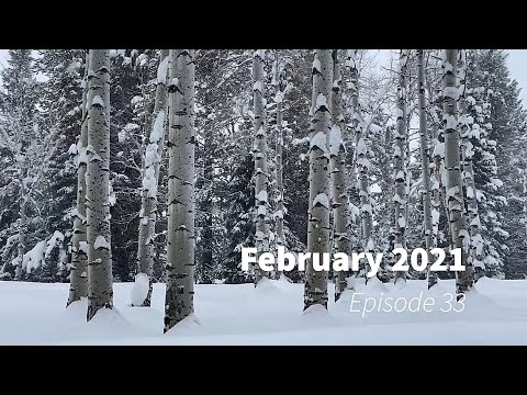 Wildlife Wednesday Monthly Round Up - February 2021