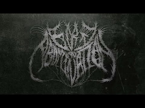Born An Abomination - Meadow (Single)