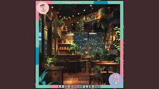 Cool Night Wanderings