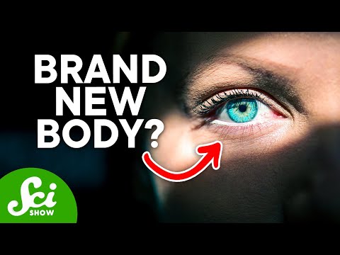 Scientists Found 4 New Human Body Parts