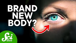 4 Body Parts Discovered in the Last 10 Years